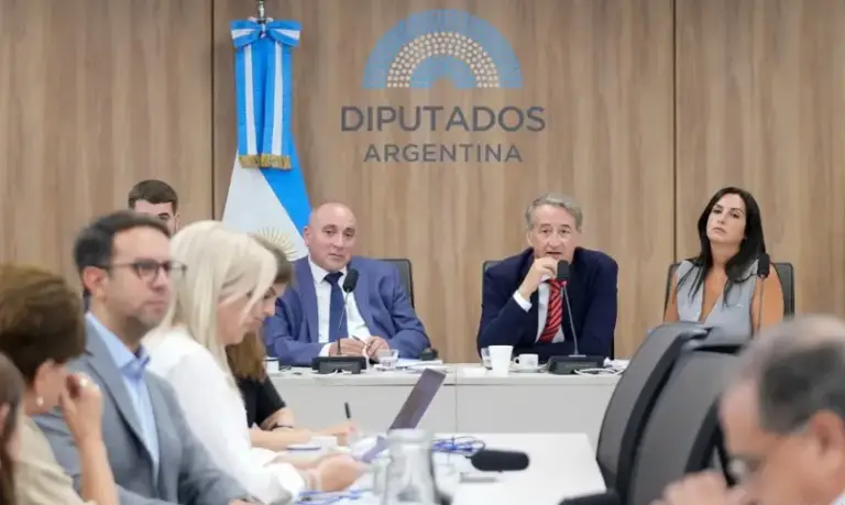 Glaciares: tucumanos denuncian «simulacro» en audiencia por la reforma