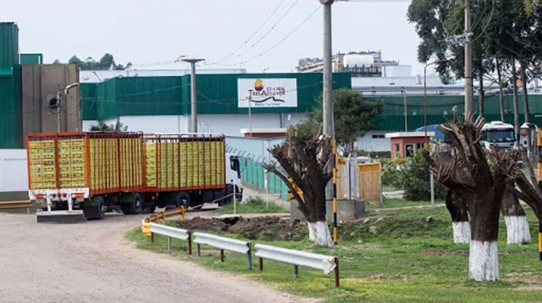 planta industrial